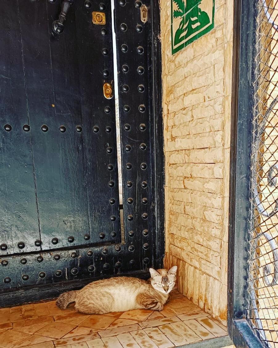 Riad Hugo مراكش المظهر الخارجي الصورة
